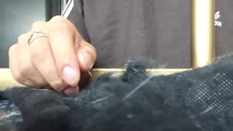 Snapshot of steban_jyj chatting on 01/11/25, 05:31 Katalleya and Steban online show from 01/11/25, 05:31