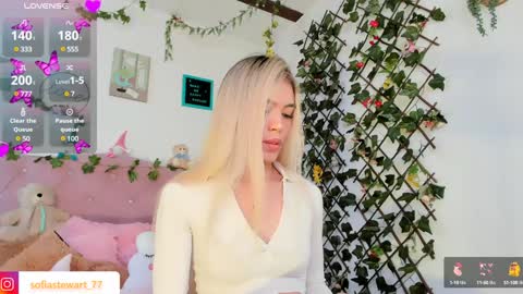 Snapshot of steewart_ chatting on 12/13/24, 08:04 ... online show from 12/13/24, 08:04