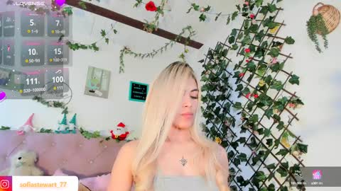 Snapshot of steewart_ chatting on 12/27/24, 02:25 ... online show from 12/27/24, 02:25