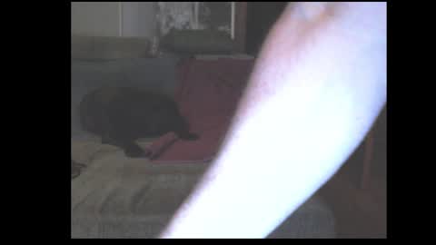 Snapshot of stefangeil123 chatting on 03/21/26, 12:59 stefangeil123 online show from 03/21/26, 12:59
