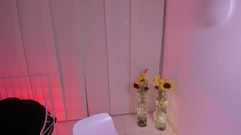Snapshot of steffy_dan chatting on 02/05/25, 03:34 Steffy online show from 02/05/25, 03:34