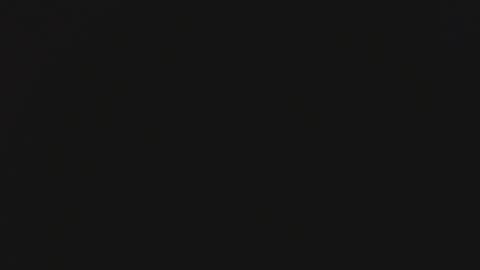 Steisha online show from 01/29/25, 09:33