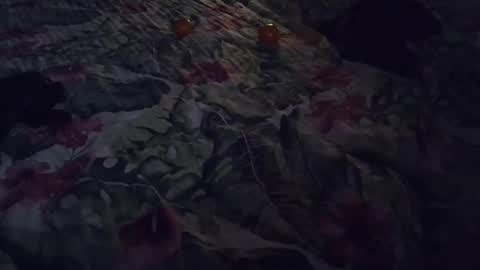 Rocco-load online show from 01/07/25, 06:56