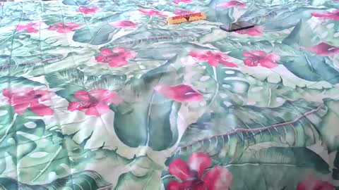 Snapshot of stel7621 chatting on 04/04/26, 02:14 Rocco-load online show from 04/04/26, 02:14