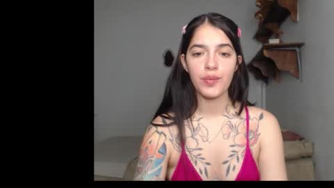 Snapshot of stella_art chatting on 02/12/26, 02:28 Stella online show from 02/12/26, 02:28