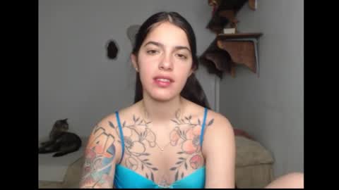 Snapshot of stella_art chatting on 02/13/26, 02:40 Stella online show from 02/13/26, 02:40