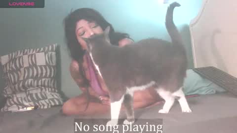 Snapshot of stella_clitella chatting on 10/03/25, 11:40 Stella Clitella online show from 10/03/25, 11:40