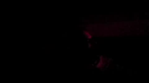 stephan6078 online show from 07/31/26, 02:33