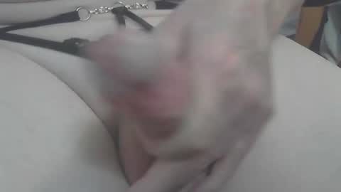 Snapshot of stephanhot chatting on 03/07/25, 02:23 gurls love to have fun online show from 03/07/25, 02:23