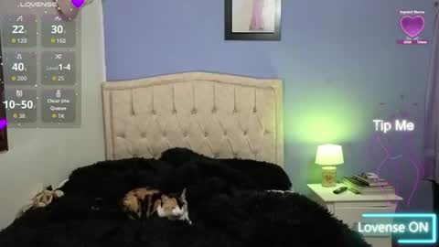 Snapshot of stephania_t chatting on 06/11/26, 02:11 Stephania online show from 06/11/26, 02:11