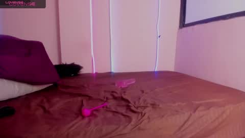 STEFANY  online show from 12/15/24, 10:47