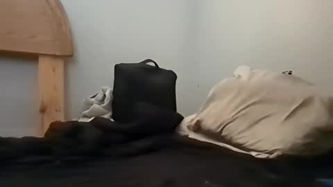 Snapshot of sterng123 chatting on 10/13/25, 06:19 sterng123 online show from 10/13/25, 06:19