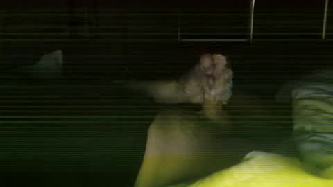 Steve online show from 02/27/26, 11:43