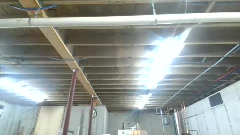 steved6001 online show from 11/26/25, 05:47