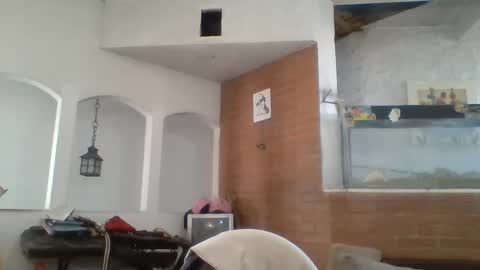 stevenson988 online show from 01/21/25, 06:45