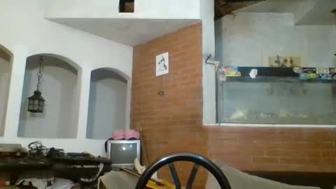 stevenson988 online show from 01/27/25, 02:10