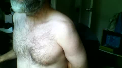 Snapshot of stevethetigerr chatting on 06/29/26, 05:35 SteveTheTigerr online show from 06/29/26, 05:35