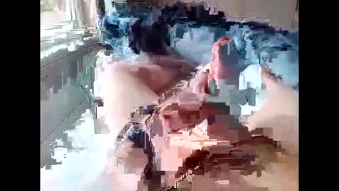 Snapshot of stevie_y19 chatting on 02/14/25, 09:34 stevie_y19 online show from 02/14/25, 09:34