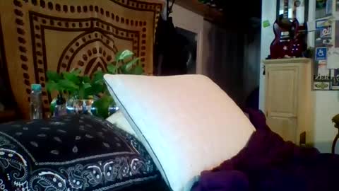 steviehard7 online show from 02/12/25, 05:15