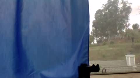 steviehard7 online show from 03/11/25, 04:51