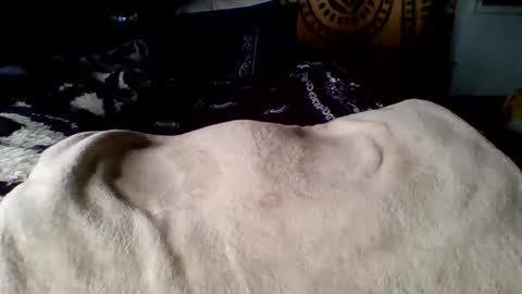 steviehard7 online show from 03/12/25, 04:02