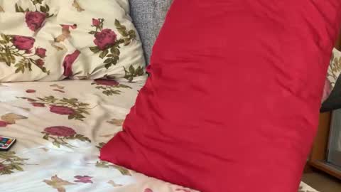 Chris online show from 09/15/25, 07:52