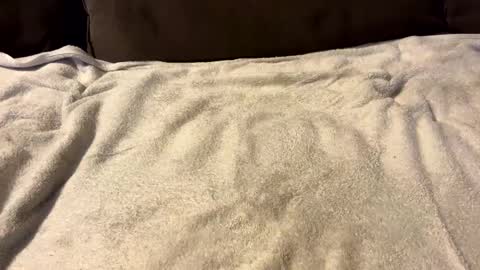 Snapshot of stiffrick682 chatting on 01/07/25, 12:03 stiffrick682 online show from 01/07/25, 12:03