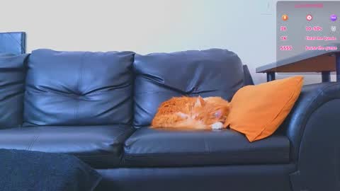 Stiven Montiel online show from 01/09/26, 01:47