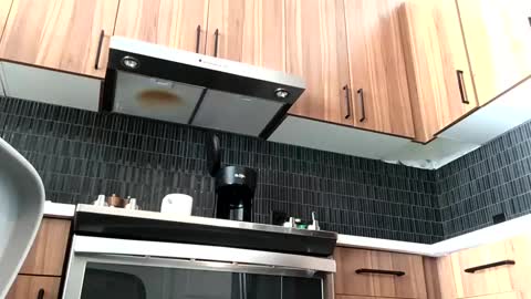 Snapshot of stlhotwifeguy chatting on 02/14/25, 03:36 stlhotwifeguy online show from 02/14/25, 03:36