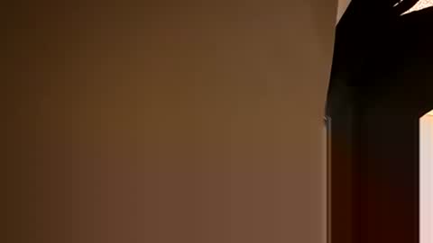 Oval2022 online show from 12/05/24, 08:55