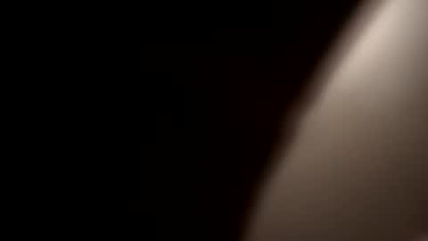 Oval2022 online show from 12/21/24, 08:18