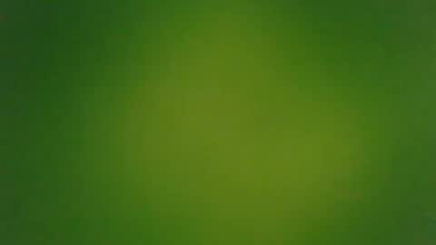 Snapshot of stonedandlovingit chatting on 03/03/25, 01:42 stonedandlovingit online show from 03/03/25, 01:42