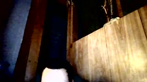 stonedstallion2019 online show from 04/02/26, 07:33