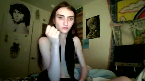 Snapshot of stonedtranny69 chatting on 02/02/25, 02:17 stonedtranny69 online show from 02/02/25, 02:17