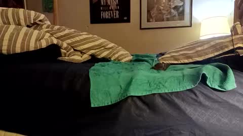 Snapshot of stoppageflo45662 chatting on 10/24/25, 10:55 stoppageflo45662 online show from 10/24/25, 10:55