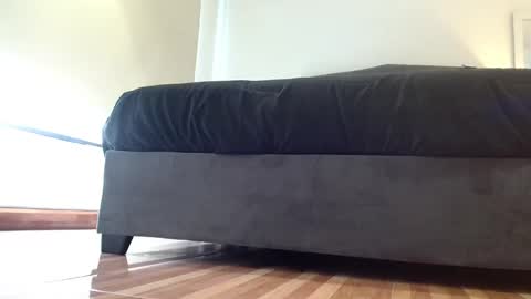 Snapshot of storm_hanks chatting on 11/29/25, 12:24 storm_hanks online show from 11/29/25, 12:24