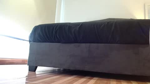 storm_hanks online show from 01/14/26, 11:38