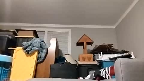 Snapshot of str33twyz3 chatting on 10/23/25, 08:46 Streetwyze online show from 10/23/25, 08:46