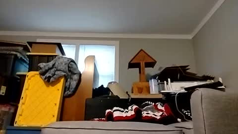 Snapshot of str33twyz3 chatting on 10/25/25, 12:34 Streetwyze online show from 10/25/25, 12:34