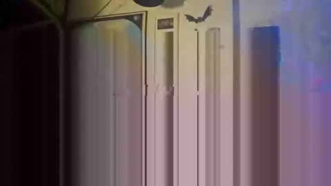 Str8 online show from 05/26/26, 01:23