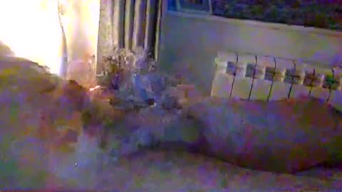 str8guy2015 online show from 01/24/25, 04:28