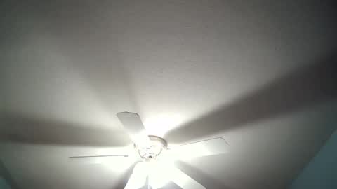 str8whiteboy21 online show from 12/19/24, 04:34