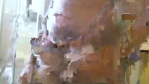 straightstroker81 online show from 12/11/24, 06:58