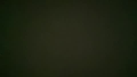 Snapshot of stranger6666666 chatting on 04/09/26, 11:59 stranger66666 online show from 04/09/26, 11:59