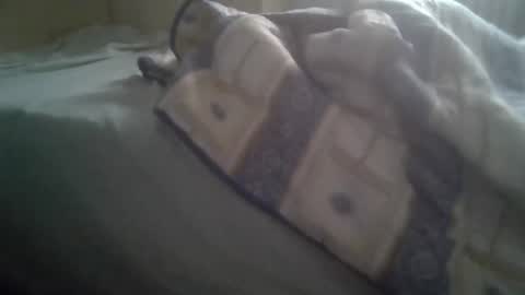 Snapshot of stransugo chatting on 03/05/26, 07:37 Tony online show from 03/05/26, 07:37