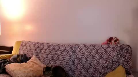 Snapshot of strawberrylotsacake chatting on 11/24/25, 04:07 Strawberrylotsacake online show from 11/24/25, 04:07