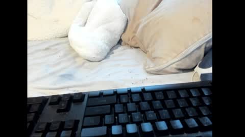 Snapshot of strawboy300 chatting on 01/26/25, 08:45 strawboy300 online show from 01/26/25, 08:45