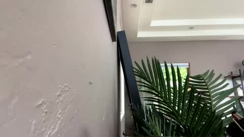 Snapshot of strawbrysugar chatting on 12/11/24, 05:59 Ruby Moon online show from 12/11/24, 05:59