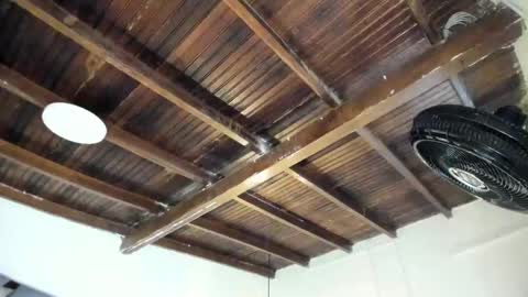 Alexa   online show from 02/02/26, 10:58