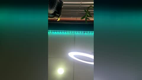 Snapshot of strong_rock69 chatting on 03/28/26, 10:42 strong_rock69 online show from 03/28/26, 10:42